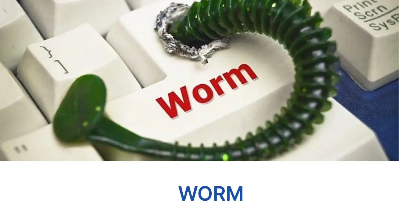 Worm-la-gi