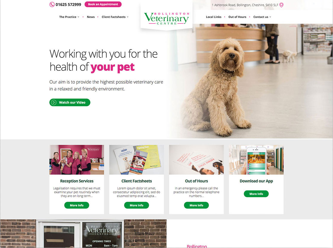 Thiết kế website bệnh viện thú y – giá rẻ, đẹp mắt, chuẩn seo