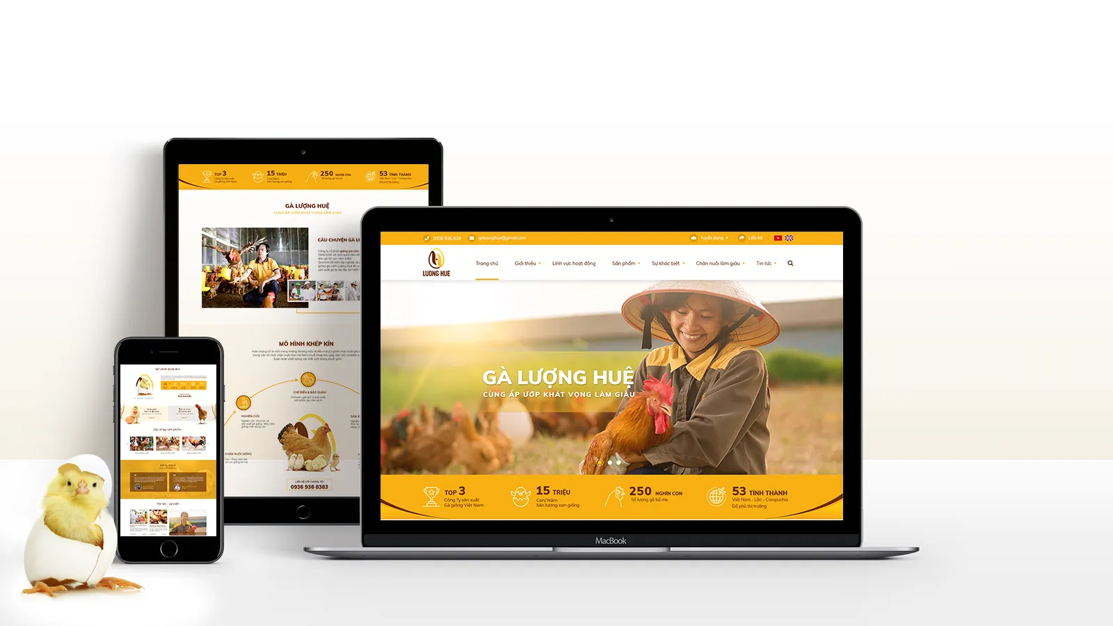 Thiết kế website đẹp