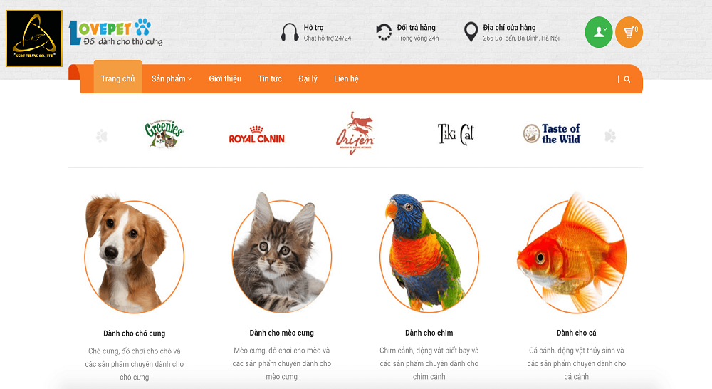 Loi-ich-thiet-ke-website-cham-soc-thu-cung