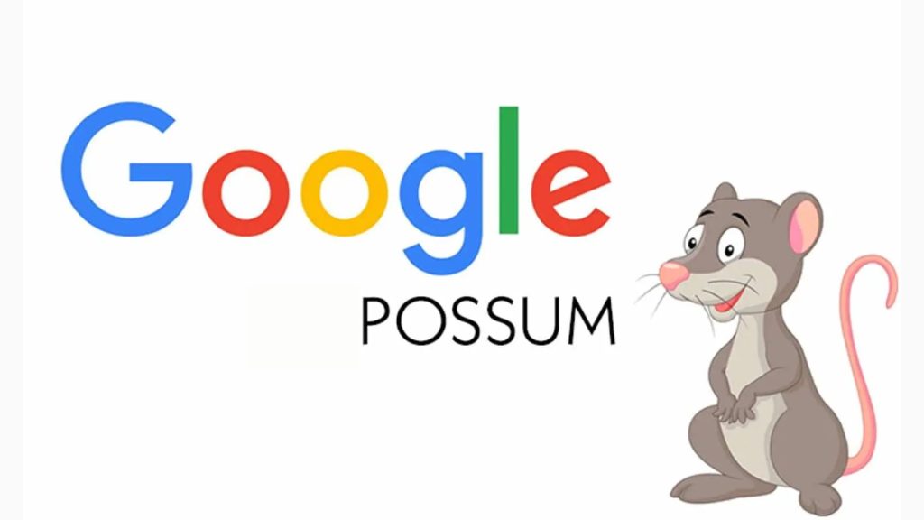 Google Possum là gì? Tất tần tận về thuật toán Google Possum 10 Khai niem gg possum