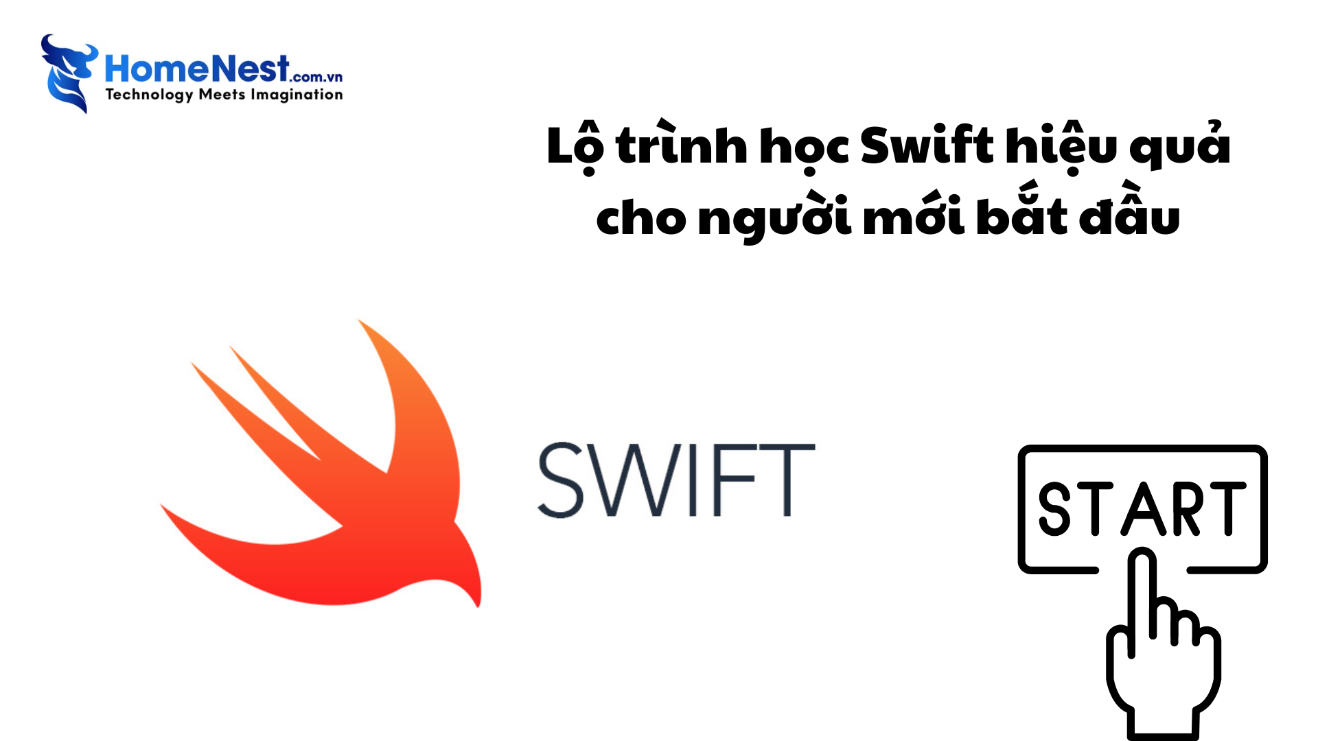 Swift là gì? Toàn tập về ngôn ngữ lập trình của Apple 11 Lộ trình học swift hiệu quả cho người mới bắt đầu