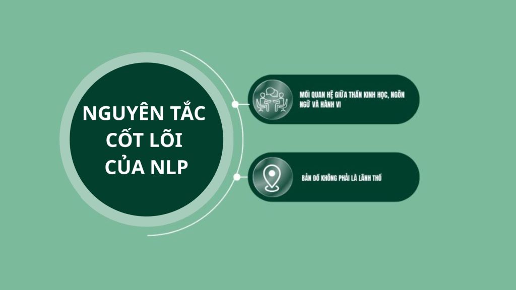 NLP là gì? Khám phá tất tần tật về lập trình ngôn ngữ tư duy 15 Nguyên tắc cốt lõi của nlp