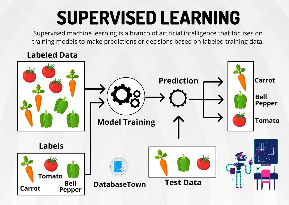 Supervised Learning là gì? Toàn tập về học có giám sát A-Z 6 Supervised learning hoạt động như thế nào