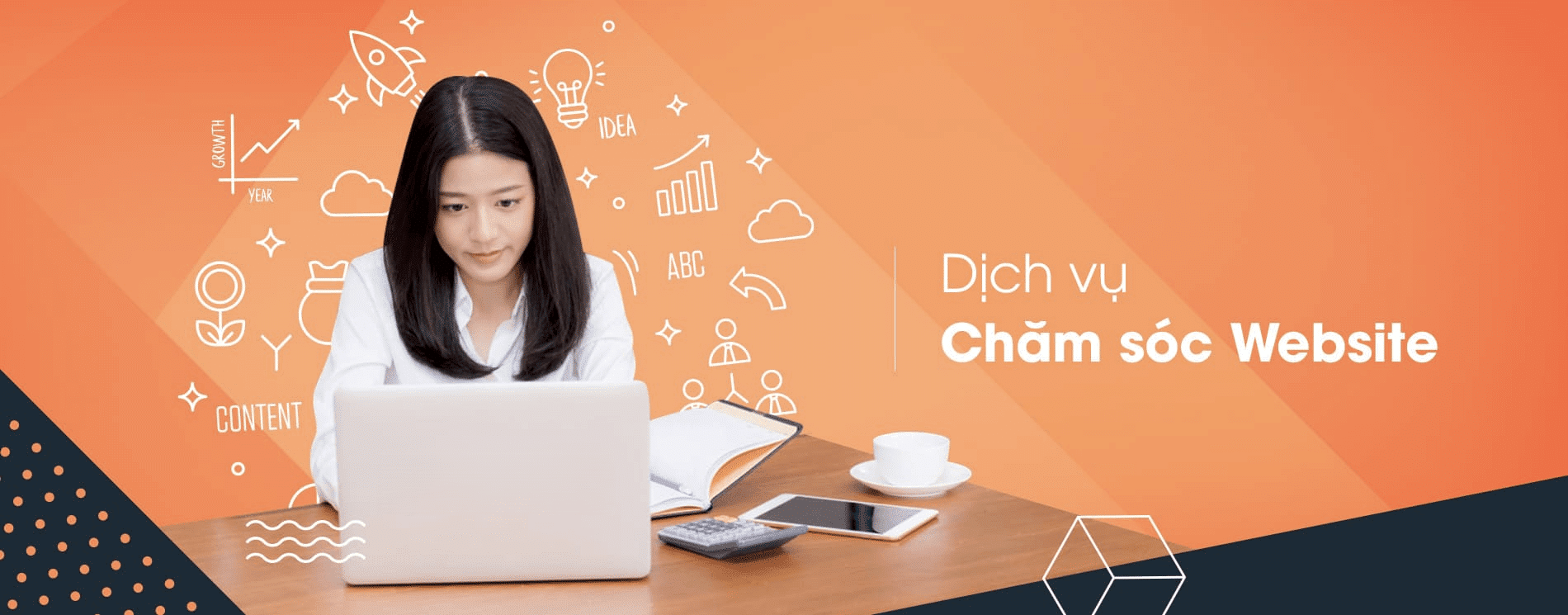 dich vu cham soc website 1 1