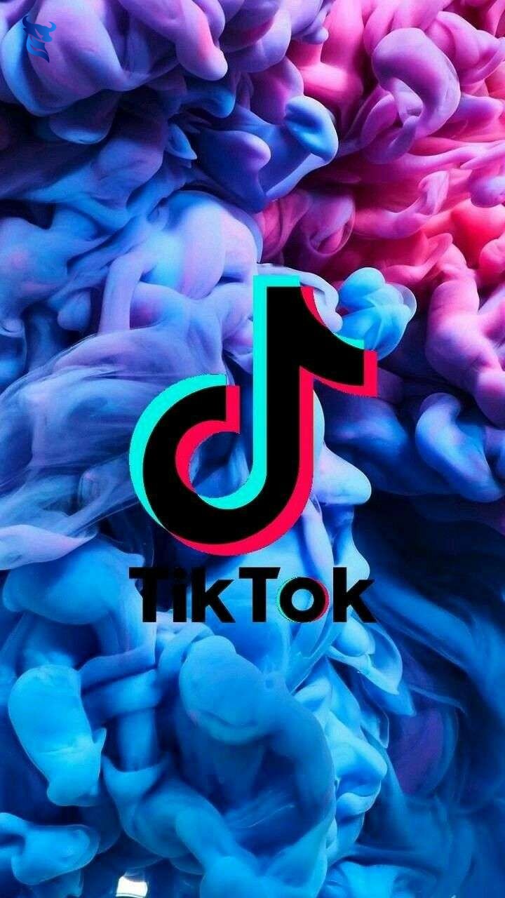 Làm thế nào để website hỗ trợ chiến dịch TikTok Ads?