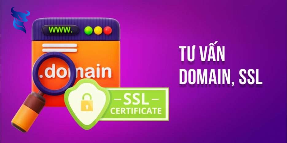 Dịch Vụ Thiết Kế Website Trọn Gói Cho Doanh Nghiệp – Từ Tên Miền, Hosting VPS Đến Giao Diện, Tính Năng và Web App