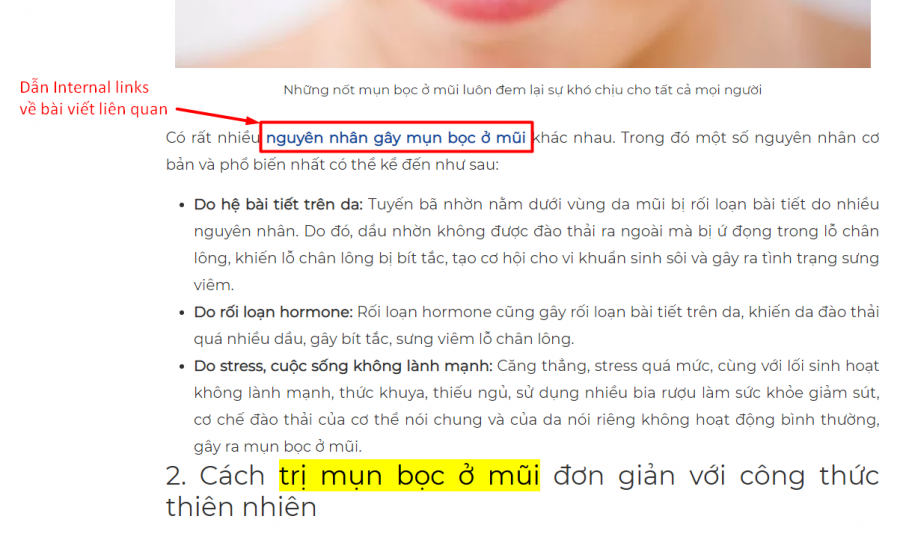 Mẫu bài viết chuẩn SEO hấp dẫn, chất lượng cho mọi lĩnh vực