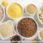 Dịch Vụ Thiết Kế Website Bán Ngũ Cốc Giá Rẻ – Tăng Doanh Thu, Tiết Kiệm Chi Phí