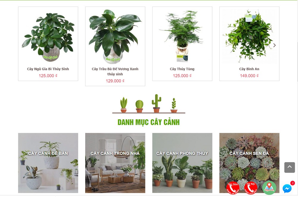 Thiết kế website bán cây cảnh, cây phong thủy, để bàn hiện đại ấn tượng sang trọng