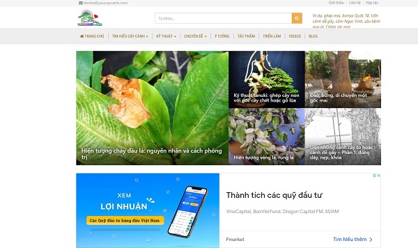 Thiết kế website bán cây cảnh, cây phong thủy, để bàn hiện đại ấn tượng sang trọng