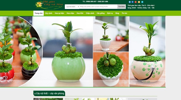 Thiết kế website bán cây cảnh, cây phong thủy, để bàn hiện đại ấn tượng sang trọng