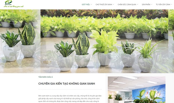 Thiết kế website bán cây cảnh, cây phong thủy, để bàn hiện đại ấn tượng sang trọng