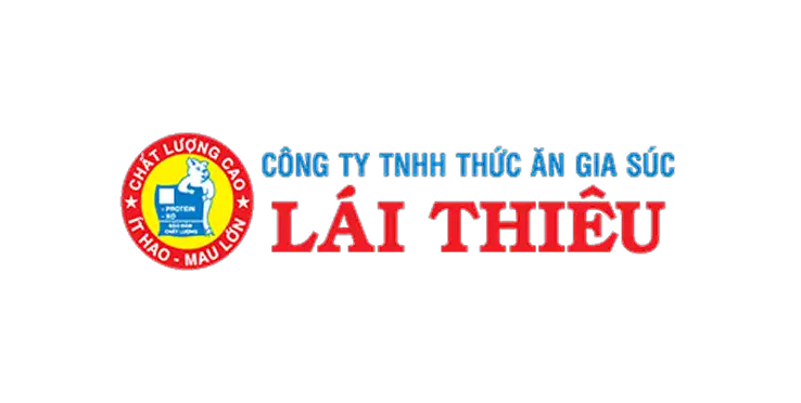 Logo Website 52