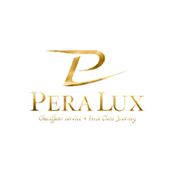 Logo Website 70