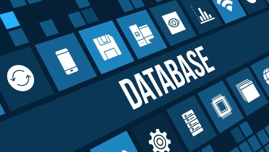 Cơ sở dữ liệu là gì? Phân loại Database và vai trò trong hệ thống thông tin