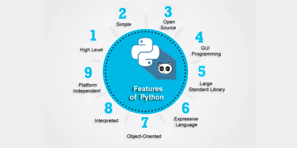 Python là gì? Những điều cơ bản bạn cần biết về ngôn ngữ lập trình Python