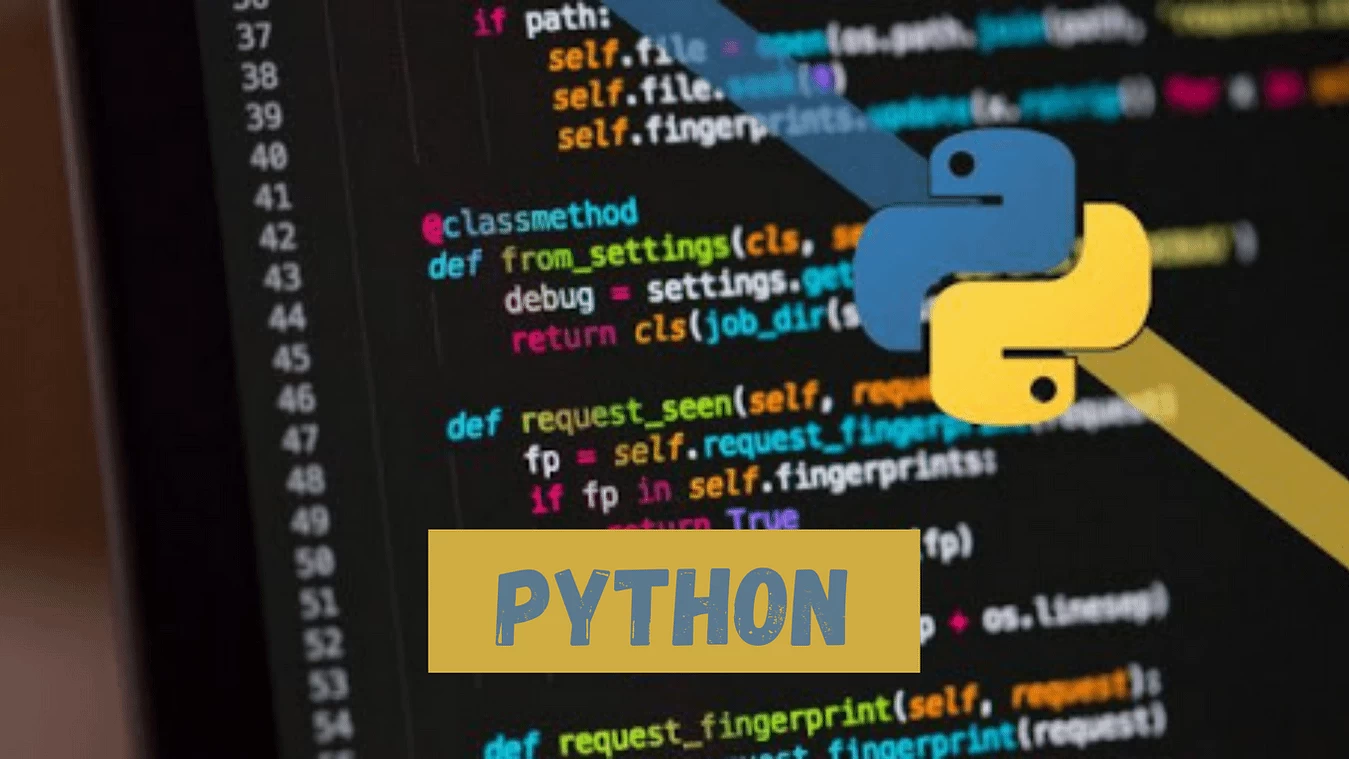 Python là gì? Những điều cơ bản bạn cần biết về ngôn ngữ lập trình Python