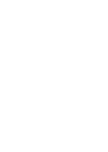 Icon Hn