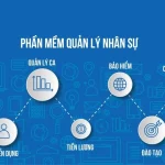 Phần Mềm Quản Lý Nhân Sự Toàn Diện: Tối Ưu Hóa Tiền Lương Và Phúc Lợi