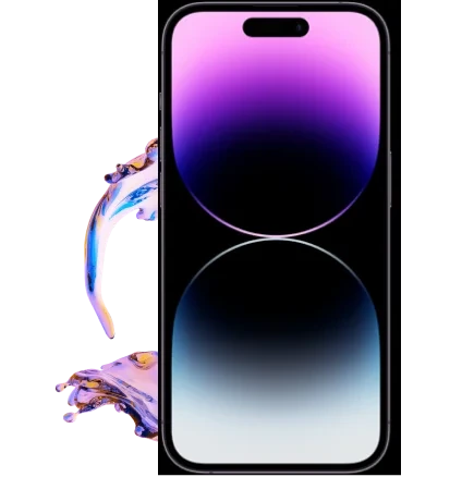 Ss 01 1