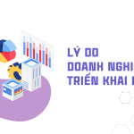 Vì sao doanh nghiệp thương mại nên triển khai hệ thống ERP