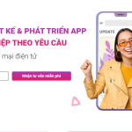 5 Lý Do Nên Chọn HomeNest Là Đơn Vị Thiết Kế App Mobile Chuyên Nghiệp