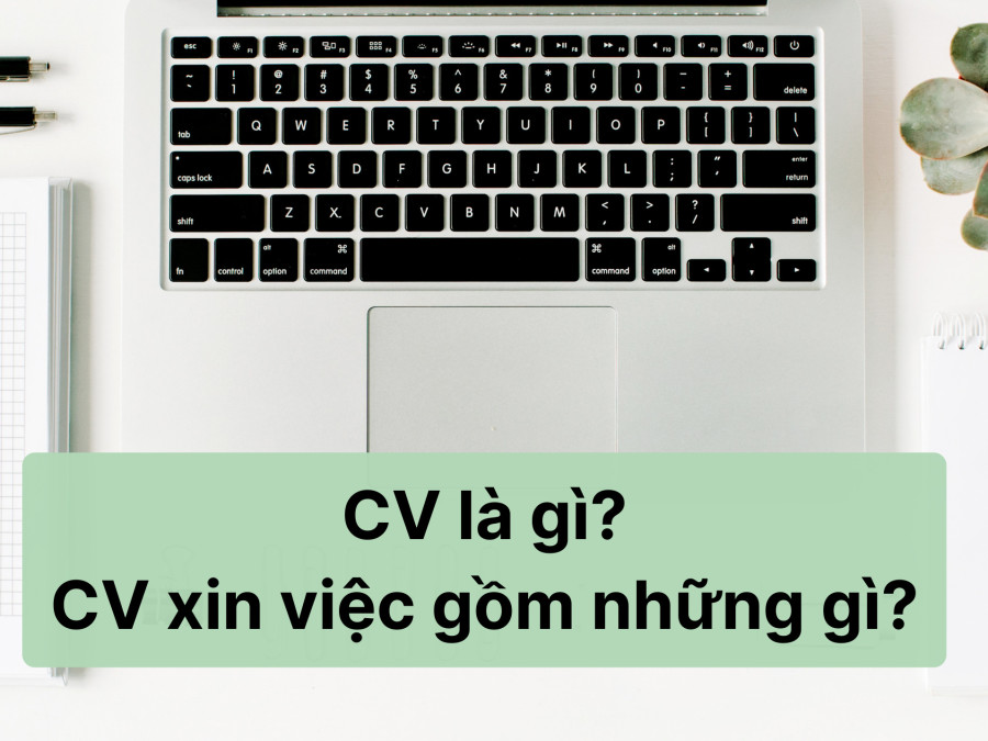 CV IT gồm những gì? Hướng dẫn cấu trúc CV chuẩn cho ứng viên IT
