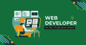 Web developer làm gì
